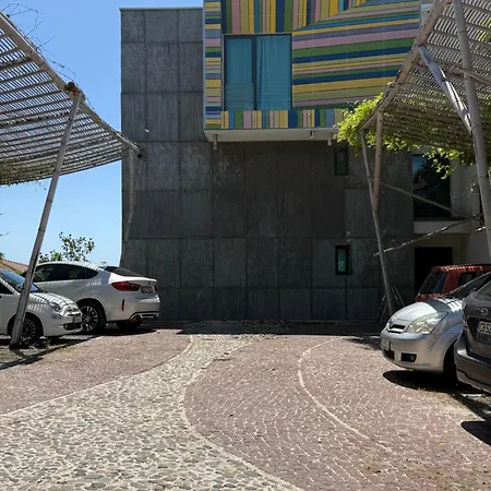 Design Lux Wisdom In Bamboo Garden,no Shoes Allowed Inside *