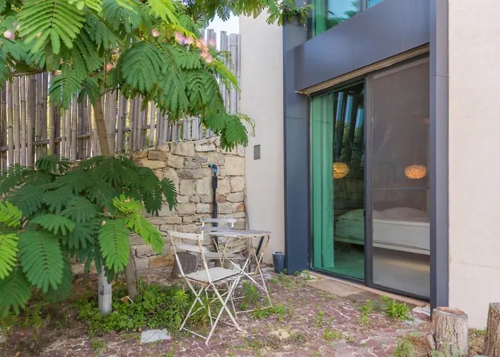 Design Lux Wisdom In Bamboo Garden,no Shoes Allowed Inside * Varna