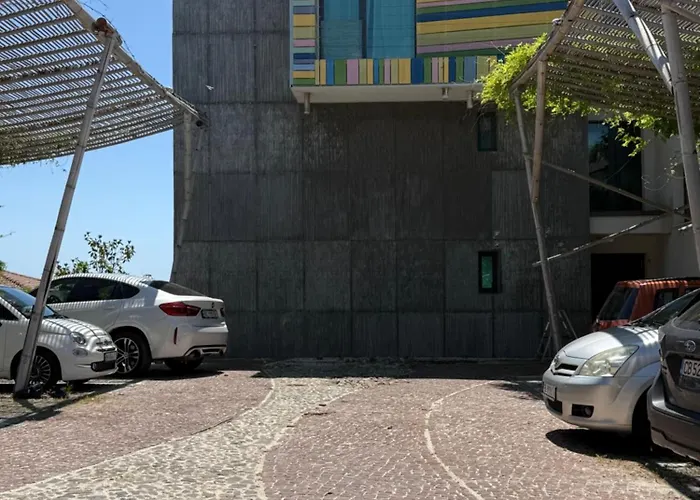 Design Lux Wisdom In Bamboo Garden,no Shoes Allowed Inside *